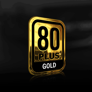 80 PLUS GOLD