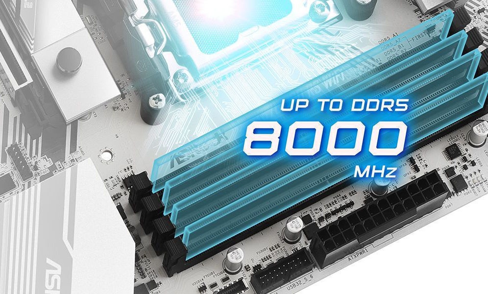DDR5 XMP & EXPO Support