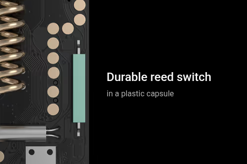 Reed Switch