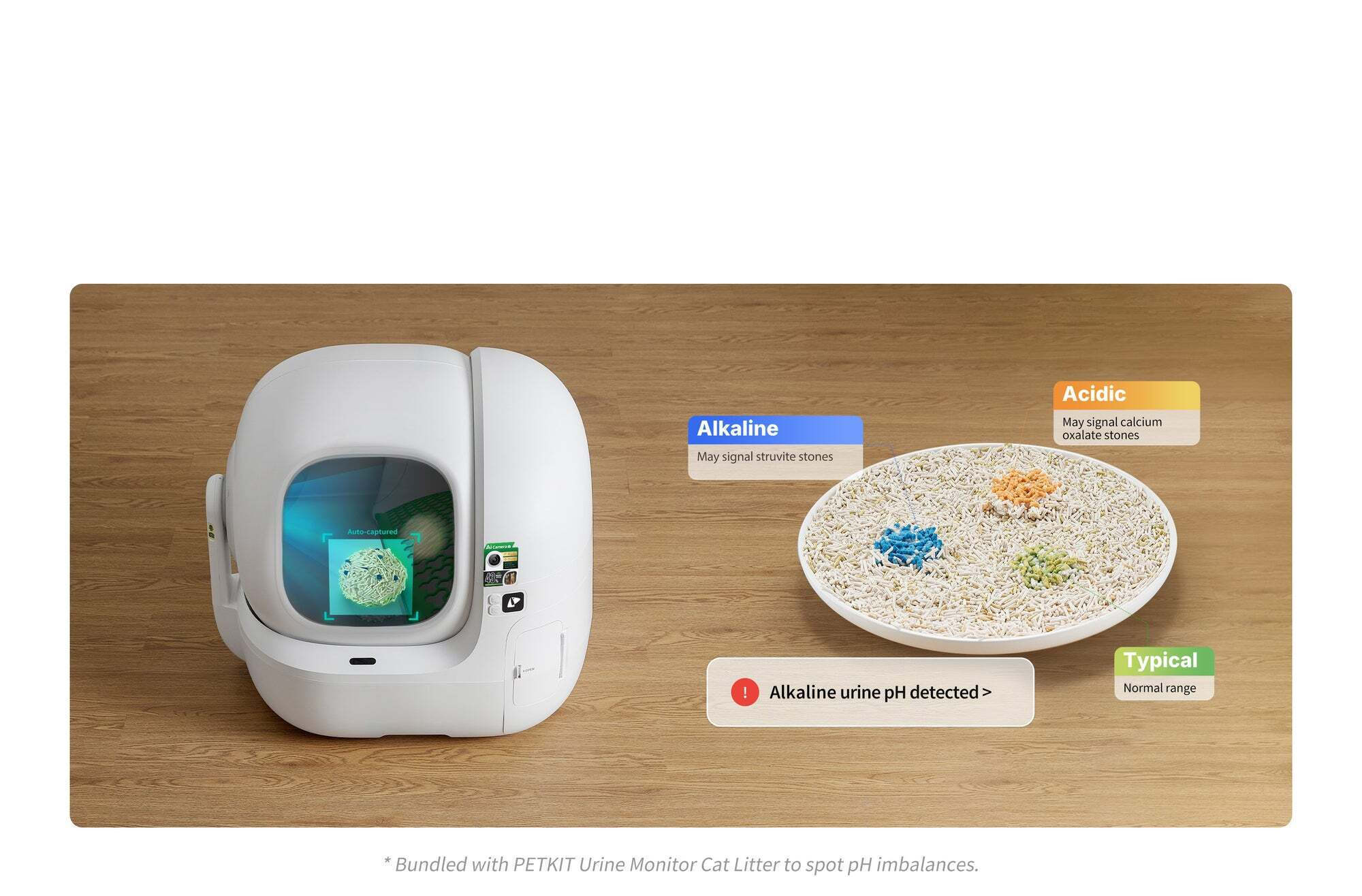 AI Camera & Health Monitoring