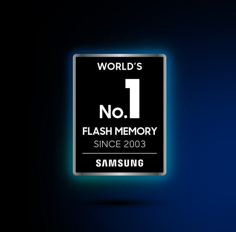 Η Νο. 1 μνήμη flash στον κόσμο