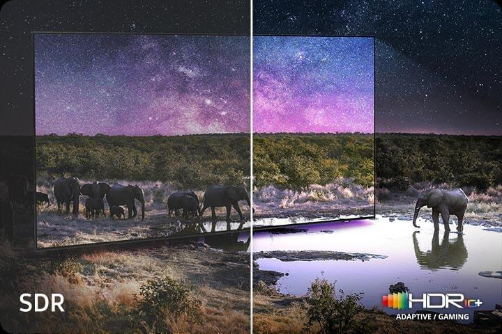 Απολαύστε ανάλυση 4K με πλούσια χρώματα και λεπτομέρεια