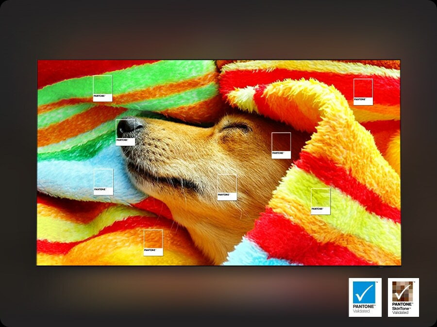 PANTONE Validated