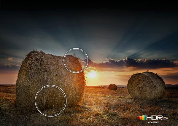 Quantum HDR